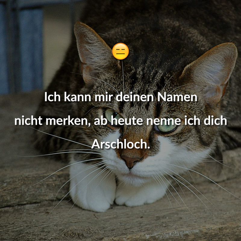 Freche Gute Nacht Spruche Bilder Und Spruche Fur Whatsapp Und