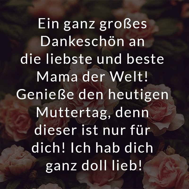 Ein ganz großes Dankeschön an die liebste und beste Mama der Welt! Genieße den heutigen Muttertag, denn dieser ist nur für dich! Ich hab dich ganz doll lieb!