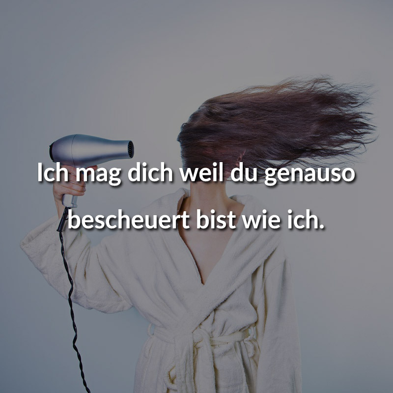 Ich mag dich weil du genauso bescheuert bist wie ich.