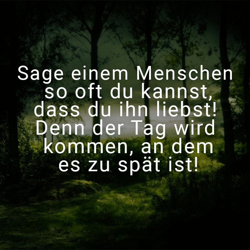 ᐅ Beliebte Sprüche & Zitate