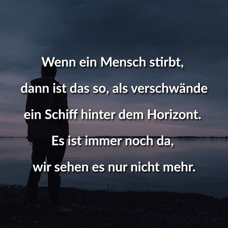 Worte hund gestorben tröstende Nach dem