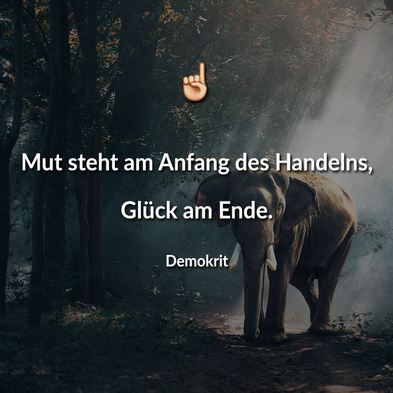 Mut steht am Anfang des Handelns, Glück am Ende. (Demokrit)