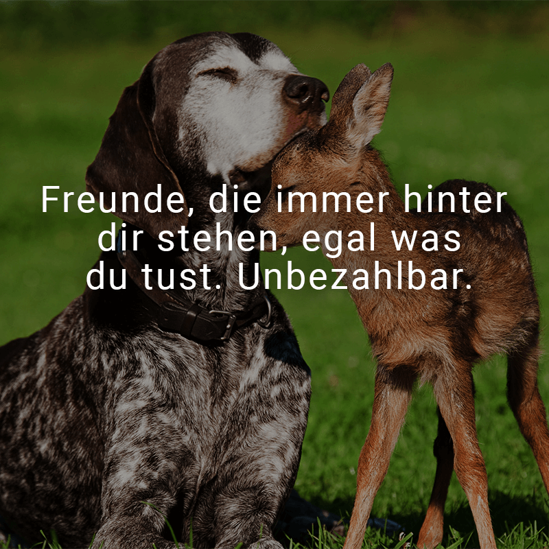 ᐅ Freunde, die immer hinter dir stehen, egal was du tust. Unbezahlbar.