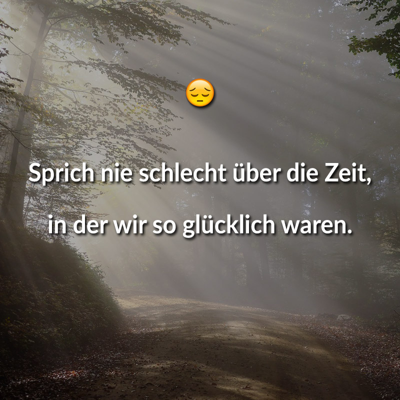 Sprich nie schlecht über die Zeit, in der wir so glücklich waren.