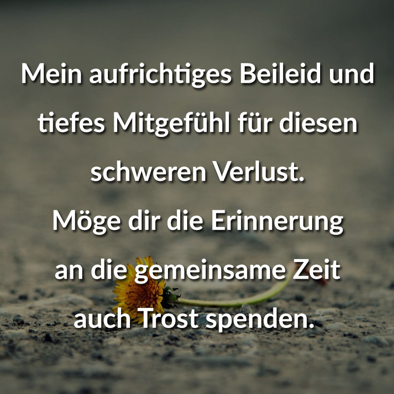 ᐅ Beliebte Beileidssprüche