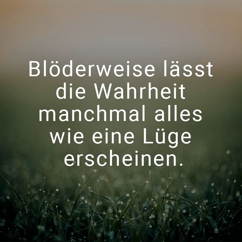 Blöderweise lässt die Wahrheit manchmal alles wie eine Lüge erscheinen.