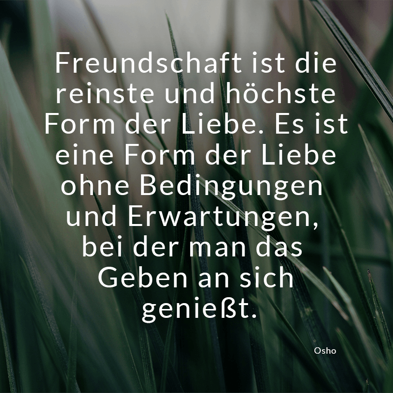ᐅ Beliebte Zitate als Spruchbilder
