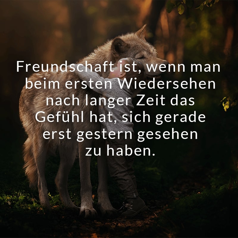 Freundschaft ist, wenn man beim ersten Wiedersehen nach langer Zeit das Gefühl hat, sich gerade erst gestern gesehen zu haben.