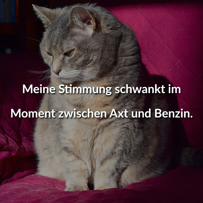 Meine Stimmung schwankt im Moment zwischen Axt und Benzin.