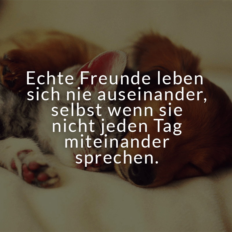 Image Result For Liebesspruche Zum Essen Image Result For Liebesspruche Zum Essen