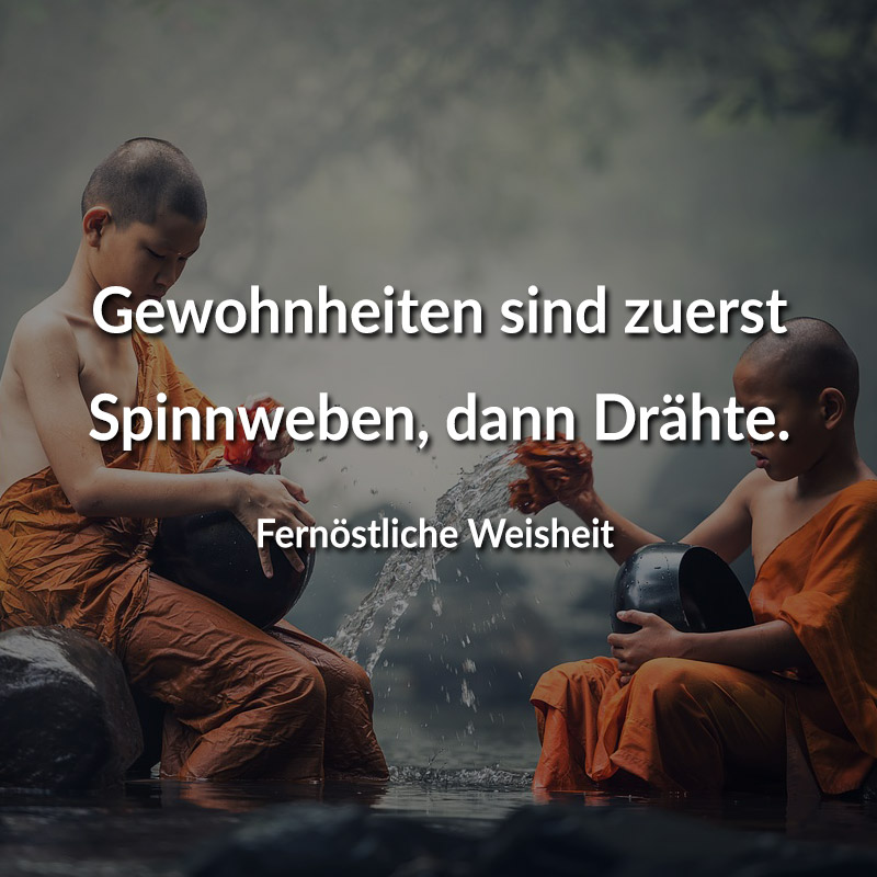 Gewohnheiten sind zuerst Spinnweben, dann Drähte. (Fernöstliche Weisheit)