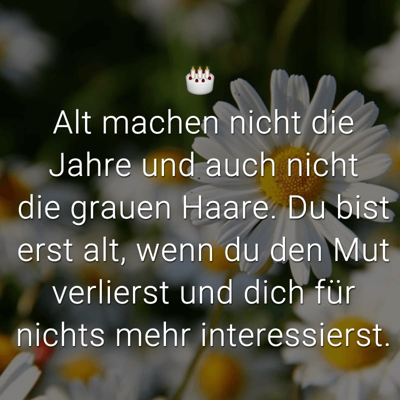 Alt machen nicht die Jahre
und auch nicht die grauen Haare.
Du bist erst alt, wenn du den Mut verlierst
und dich für nichts mehr interessierst.