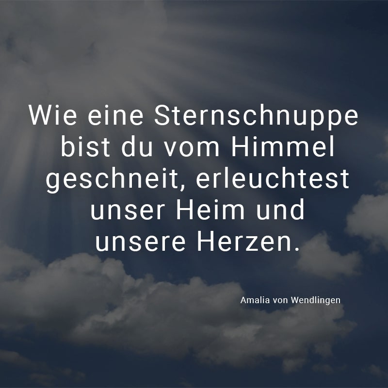Wie eine Sternschnuppe bist du vom Himmel geschneit, erleuchtest unser Heim und unsere Herzen.
(Amalia von Wendlingen)