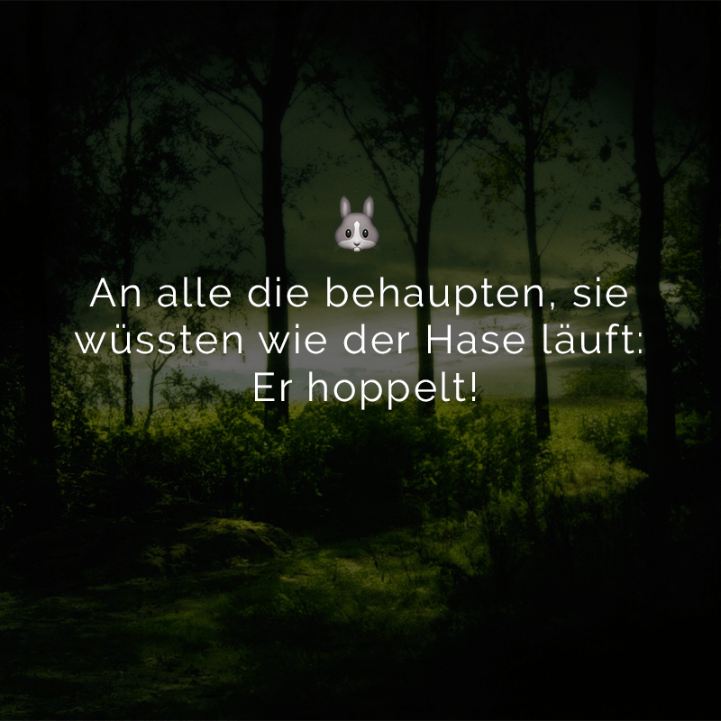 ᐅ Beliebte Sprüche & Zitate
