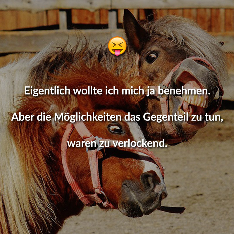 Eigentlich wollte ich mich ja benehmen. Aber die Möglichkeiten das Gegenteil zu tun, waren zu verlockend.