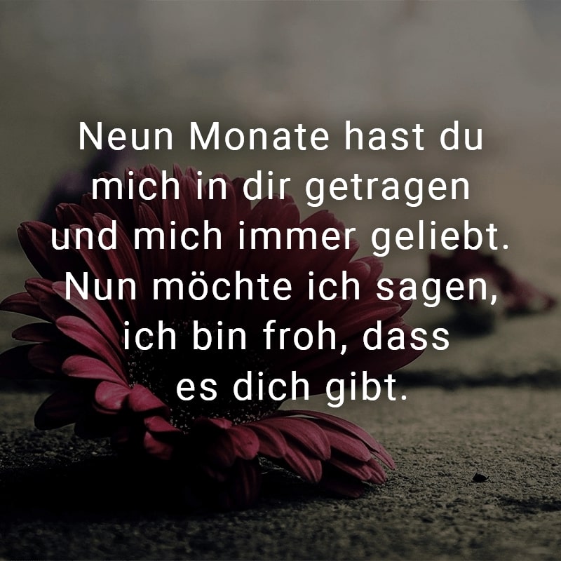 Neun Monate hast du mich in dir getragen und mich immer geliebt. Nun möchte ich sagen, ich bin froh, dass es dich gibt.