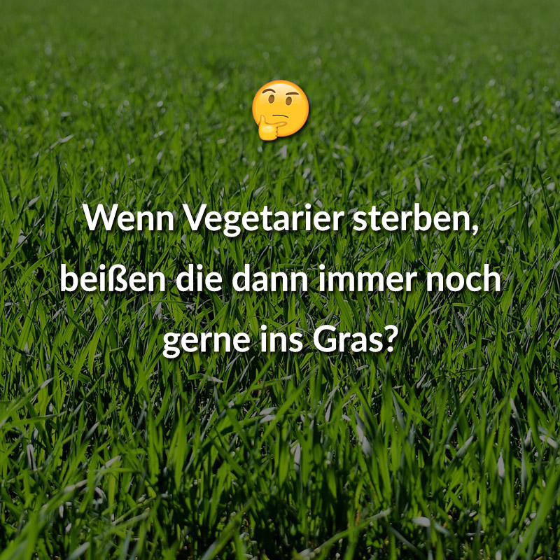 Wenn Vegetarier sterben, beißen die dann immer noch gerne ins Gras?