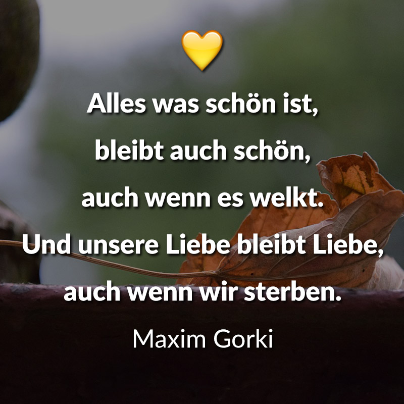 Kann man an liebeskummer sterben ramomamind