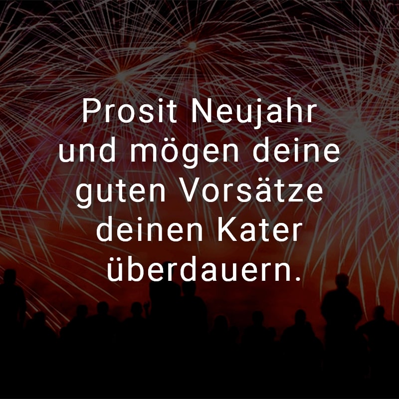 Prosit Neujahr und mögen deine guten Vorsätze deinen Kater überdauern.