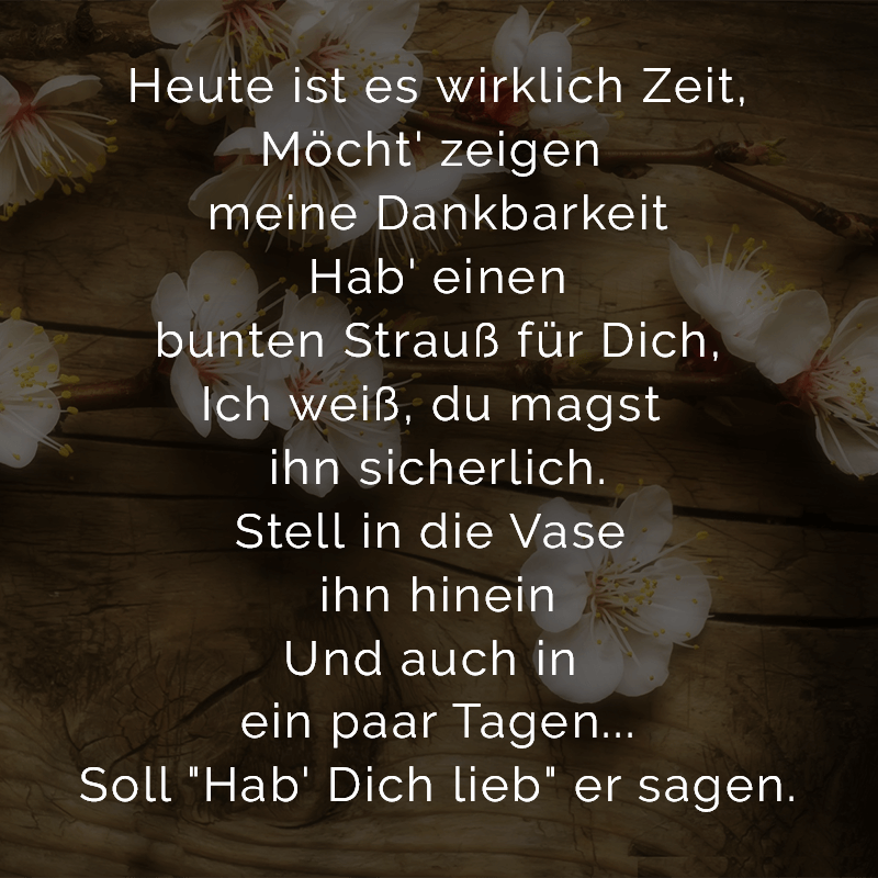ᐅ Wer braucht schon Superhelden? Ich hab Mama!