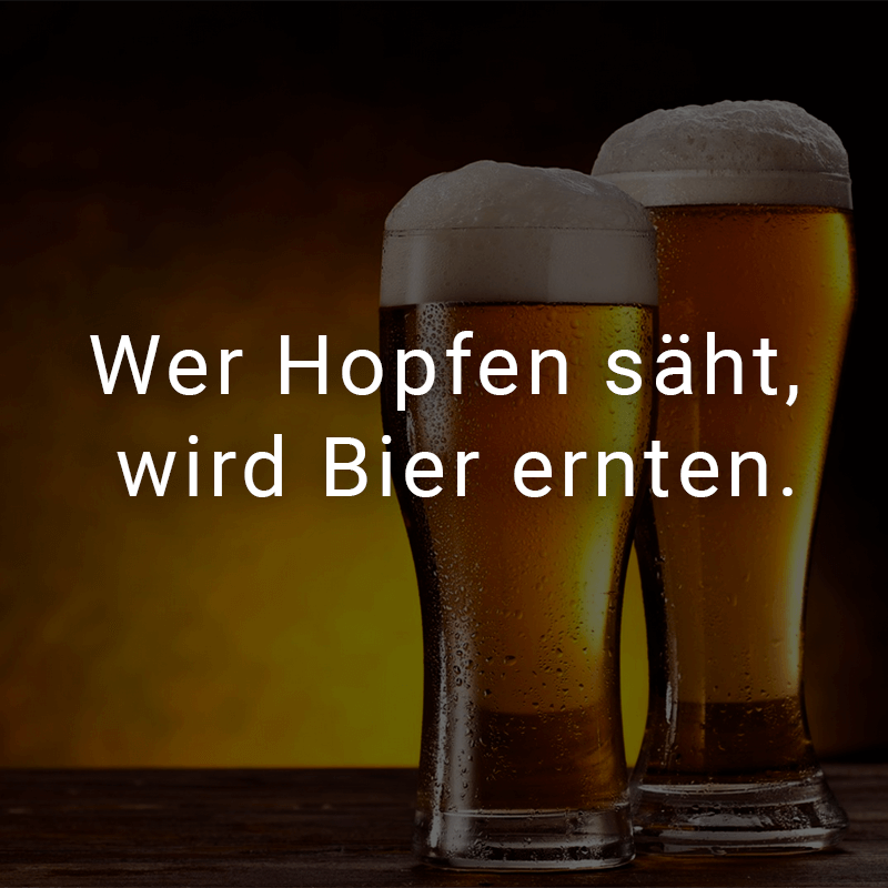 ᐅ Wer Hopfen säht, wird Bier ernten.