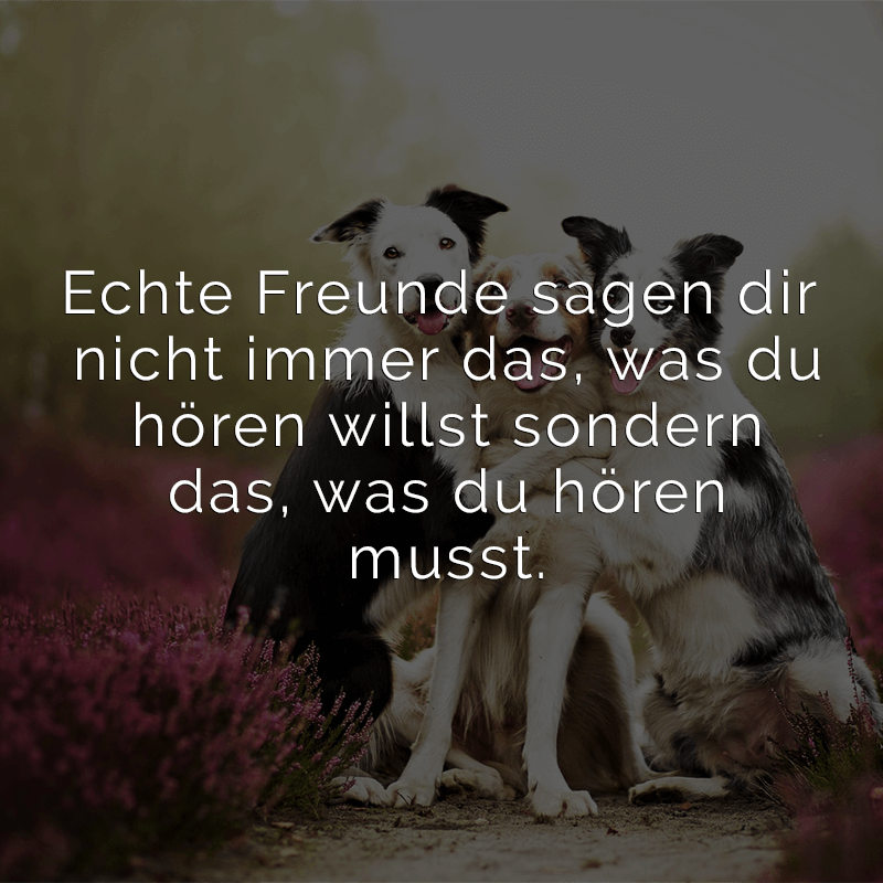 ᐅ Echte Freunde sagen dir nicht immer das, was du hören