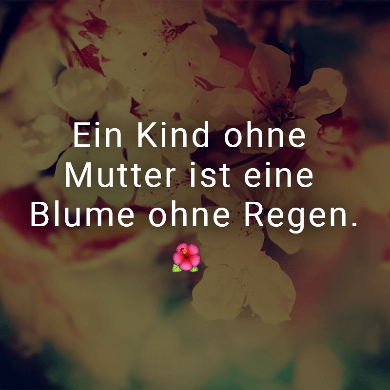 ᐅ Beliebte Muttertagssprüche schöne Sprüche zum Muttertag