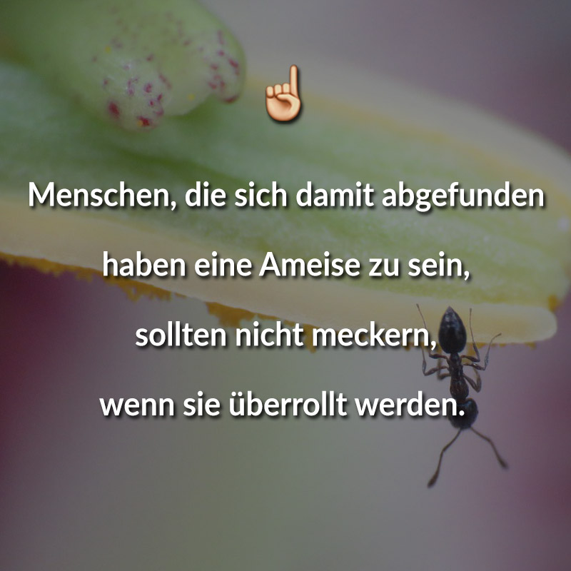 Menschen, die sich damit abgefunden haben eine Ameise zu sein, sollten nicht meckern, wenn sie überrollt werden.
