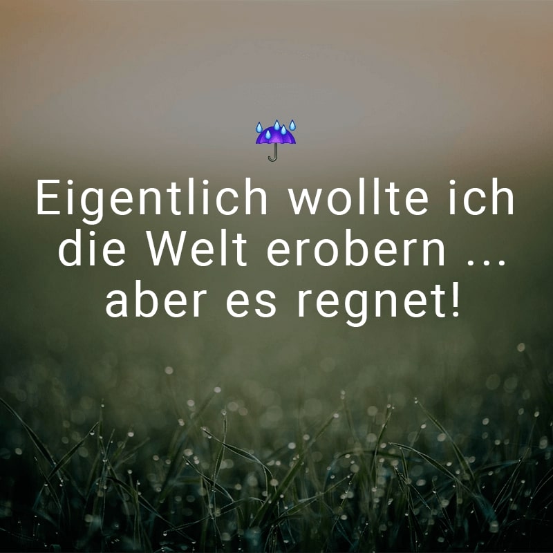 Eigentlich wollte ich die Welt erobern ... aber es regnet!