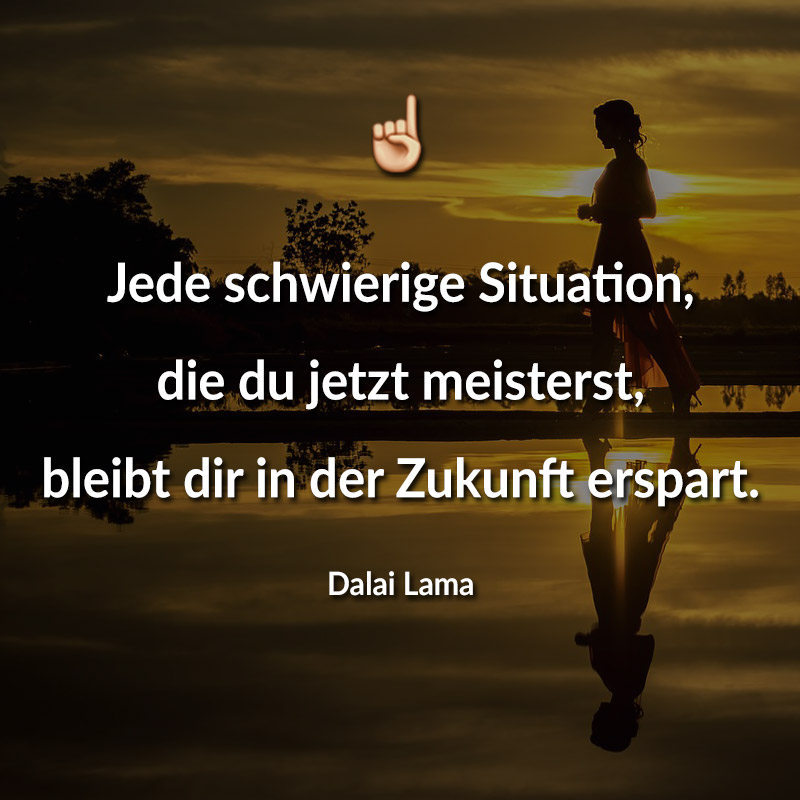 Jede schwierige Situation, die du jetzt meisterst, bleibt dir in der Zukunft erspart. (Dalai Lama)
