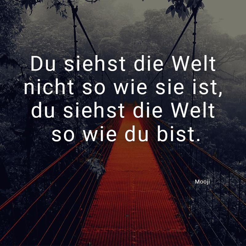 ᐅ Du siehst die Welt nicht so wie sie ist, du siehst die Welt so wie du