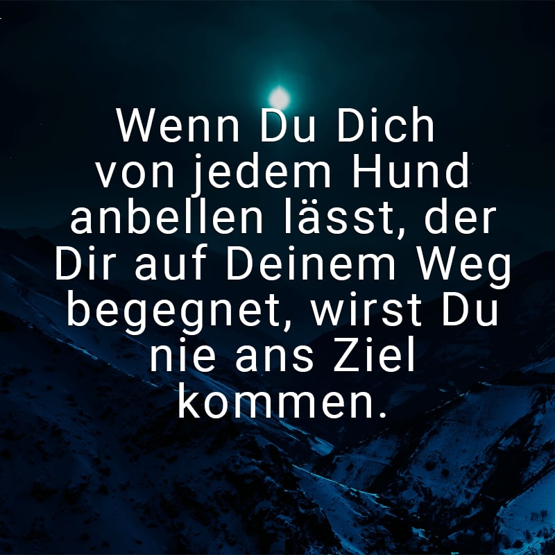 Wenn Du Dich von jedem Hund anbellen lässt, der Dir auf Deinem Weg begegnet, wirst Du nie ans Ziel kommen.
