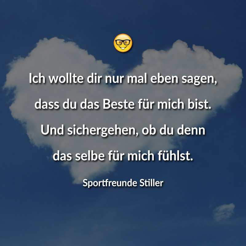 Ich wollte dir nur mal eben sagen, dass du das Beste für mich bist. Und sichergehen, ob du denn das selbe für mich fühlst. (Sportfreunde Stiller)