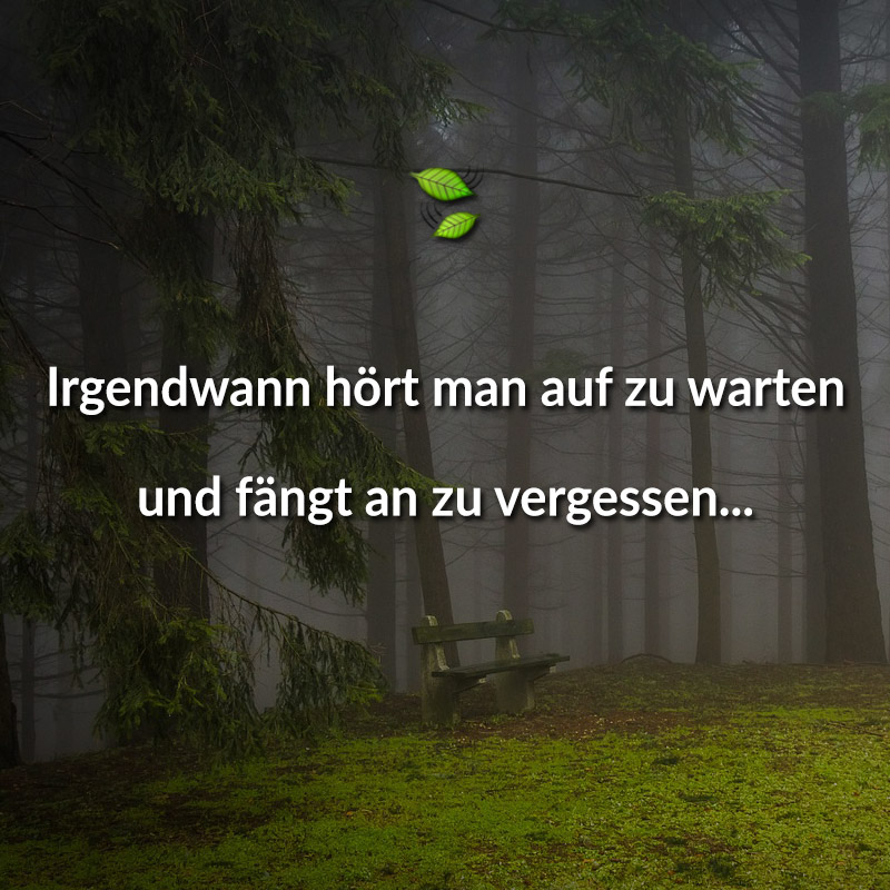 Irgendwann hört man auf zu warten und fängt an zu vergessen...