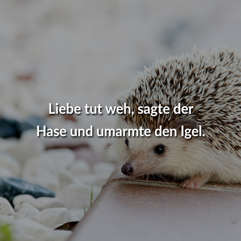 Tut sprüche weh liebe Es tut