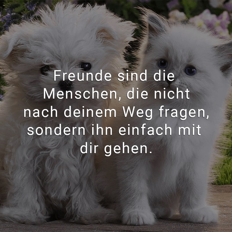 Freunde sind die Menschen, die nicht nach deinem Weg fragen, sondern ihn einfach mit dir gehen.