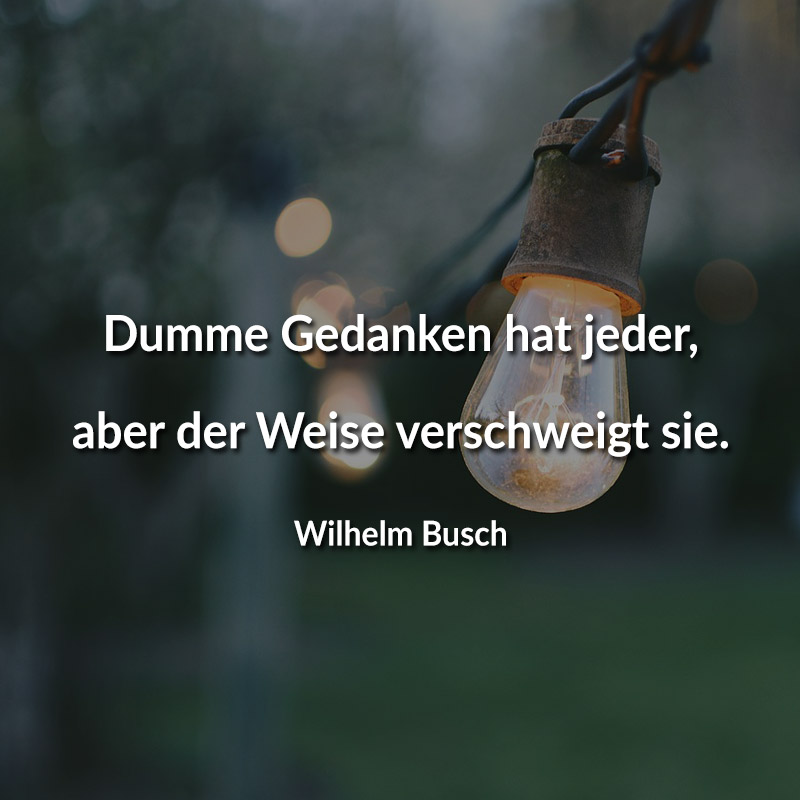 Dumme Gedanken hat jeder, aber der Weise verschweigt sie. (Wilhelm Busch)