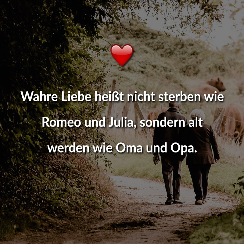 Sprüche wahre liebe LIEBE IST