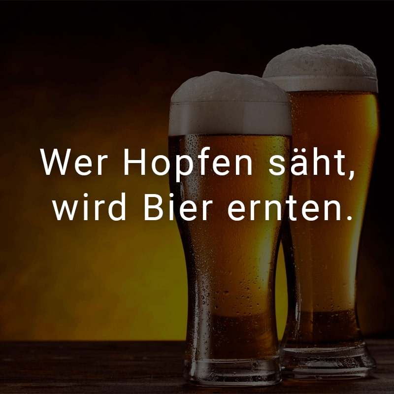 Wer Hopfen säht, wird Bier ernten.