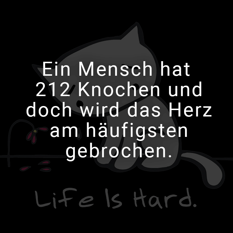 ᐅ Es heißt, dass man mit jeder Enttäuschung stärker wird, doch im Grunde wird man nur kälter und