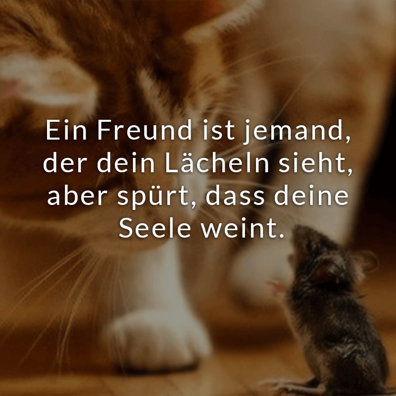 Ein Freund ist jemand, der dein Lächeln sieht, aber spürt, dass deine Seele weint.