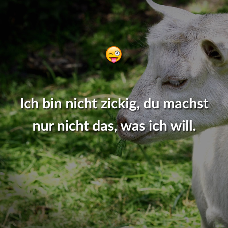 Ich bin nicht zickig, du machst nur nicht das, was ich will.