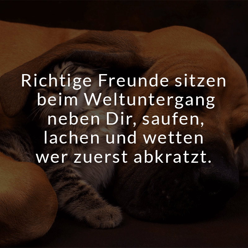 Sprüche für gute freunde