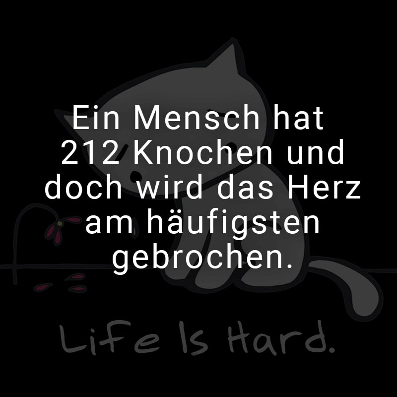 Ein Mensch hat 212 Knochen und doch wird das Herz am häufigsten gebrochen.