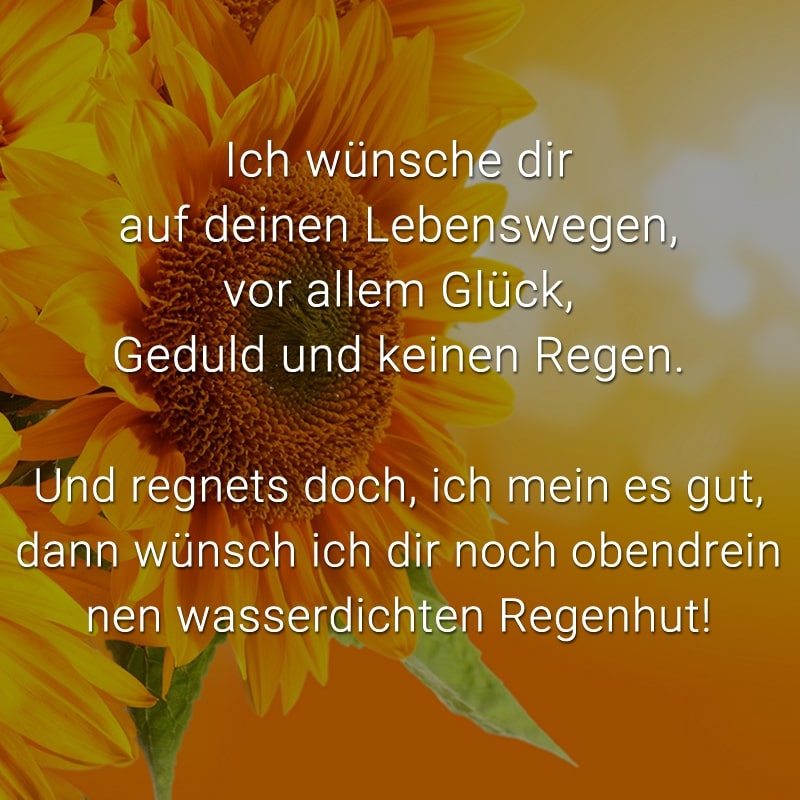 Ich wünsche dir auf deinen Lebenswegen,
vor allem Glück, Geduld und keinen Regen.

Und regnets doch - ich mein es gut -
dann wünsch ich dir noch obendrein
nen wasserdichten Regenhut!