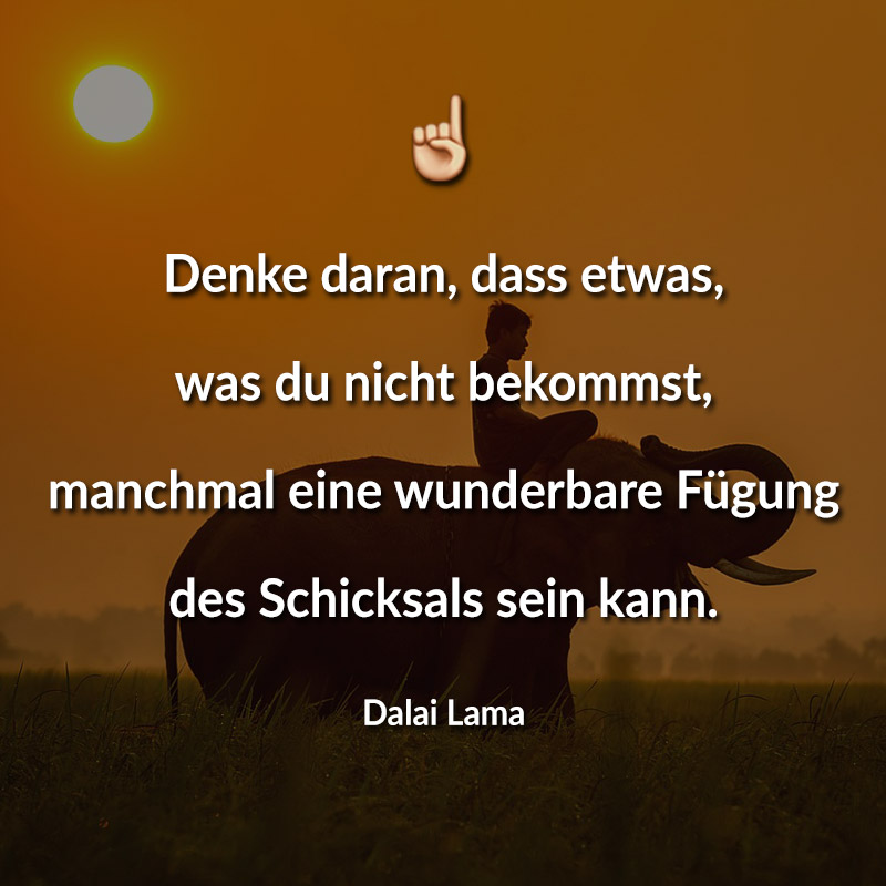 Dalai Lama Sprüche über Liebe phoenique