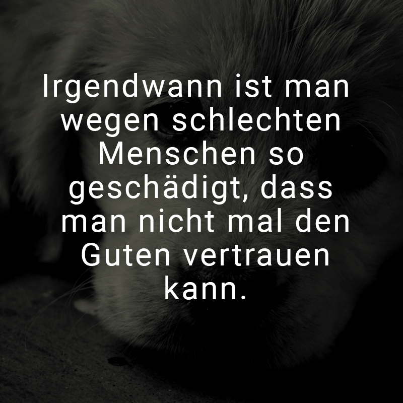 ᐅ Irgendwann ist man wegen schlechten Menschen so geschädigt, dass man
