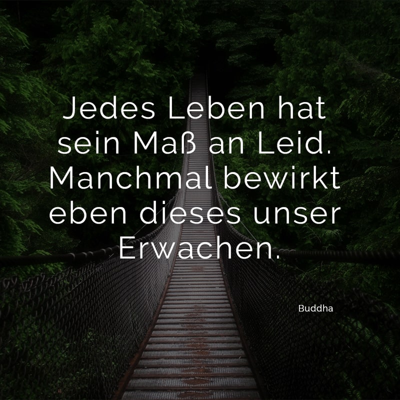 Jedes Leben hat sein Maß an Leid. Manchmal bewirkt eben dieses unser Erwachen.
(Buddha)