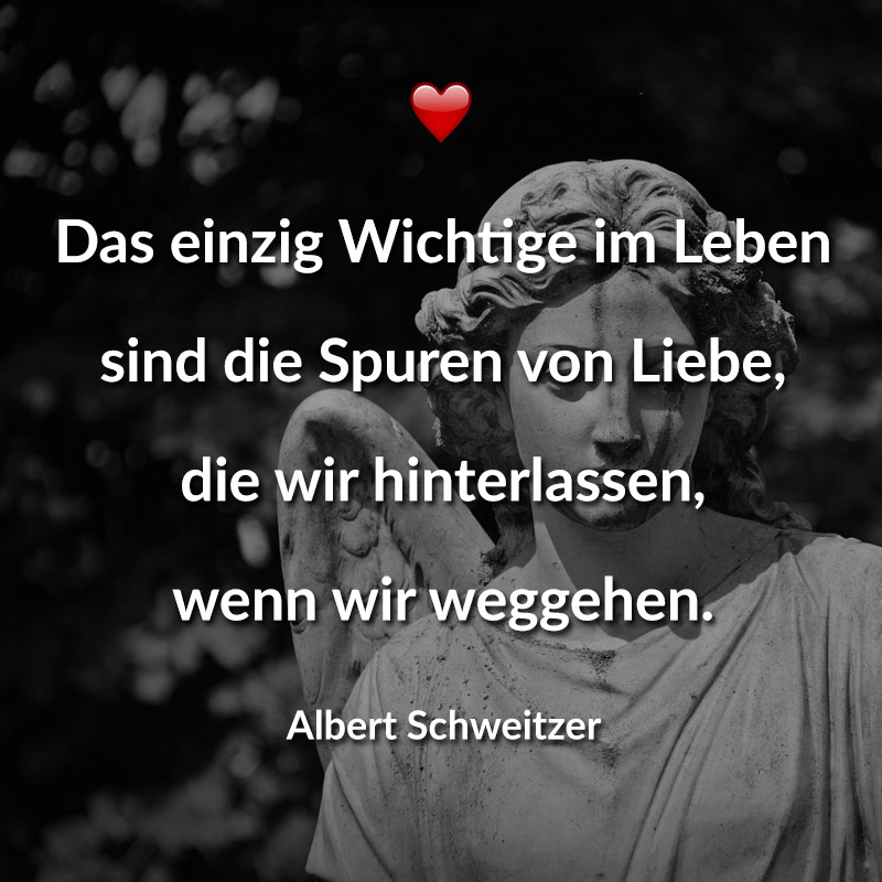 ᐅ Wenn du in der Nacht den Himmel betrachtest, weil ich auf einem von