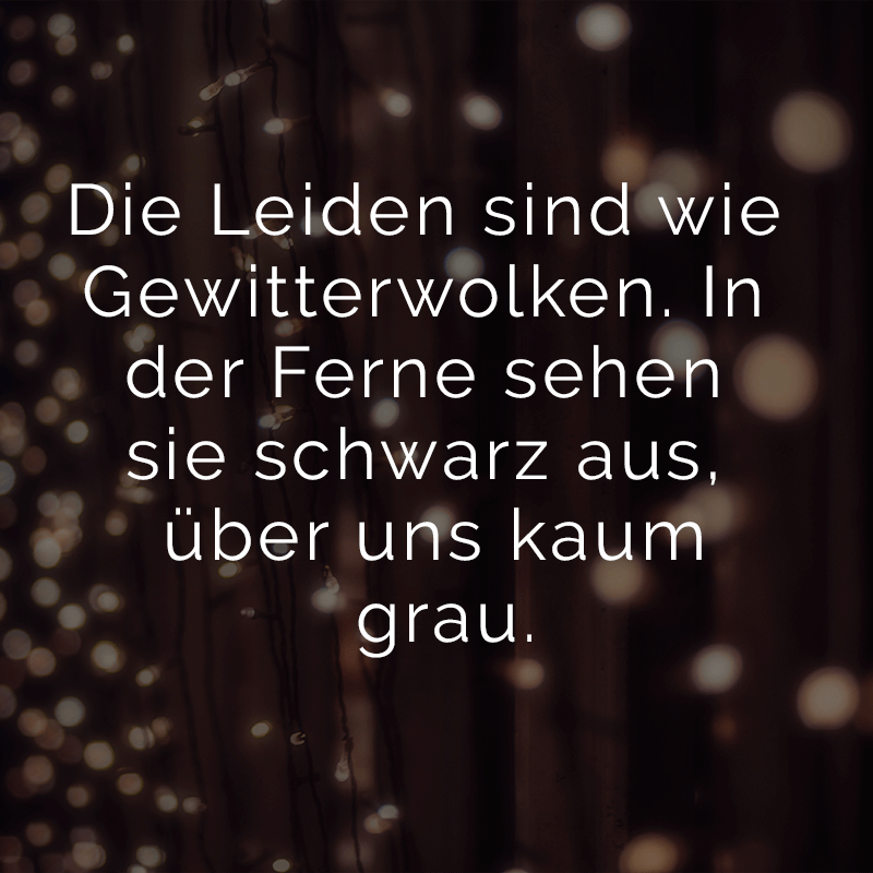Get Sprueche ueber dummheit und arroganz Desktop Wallpaper Free